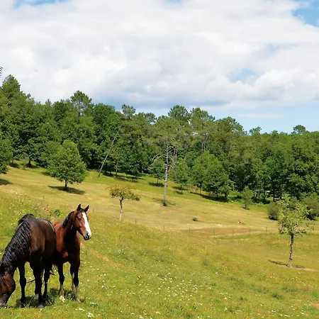 Apartment Amoureux: Gourmet Paradise With Wine & Meat Tasting